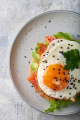 Tasty homemade sandwich with salmon , fried egg ,herbs and avocado