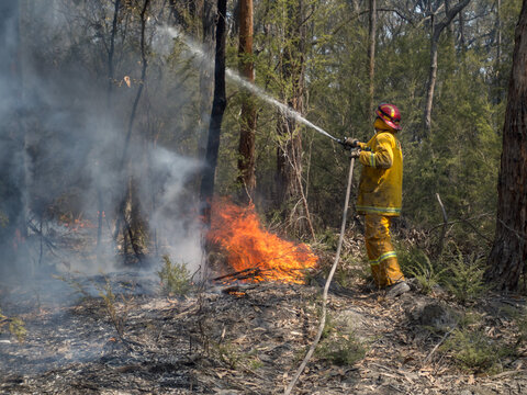 firefighter hosting down trees at a bushfire in Australia