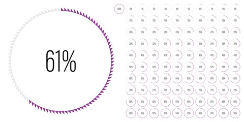 Set of circle percentage diagrams meters from 0 to 100 ready-to-use for web design, user interface UI or infographic - indicator with purple