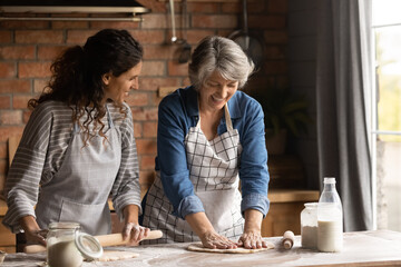 Happy mature grey haired woman with grownup daughter wearing aprons cooking handmade pastry,...