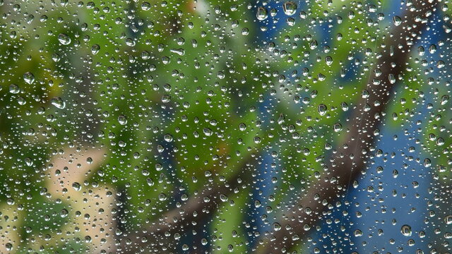 Water drops on transparent glass window with blurred background of tree foliage outdoor. Raindrops pattern