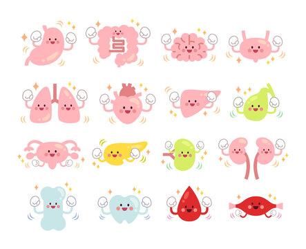 元気な肝臓 の画像 766 件の Stock 写真 ベクターおよびビデオ Adobe Stock