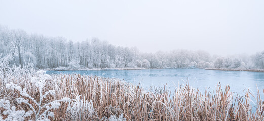 Frozen lake in snowy forest landscape. White sky soft sunset sunrise light, idyllic white nature....