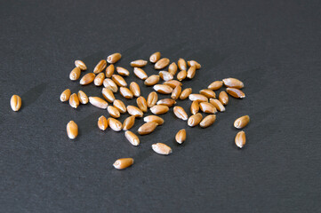 a few grains of wheat on a black background with a side light