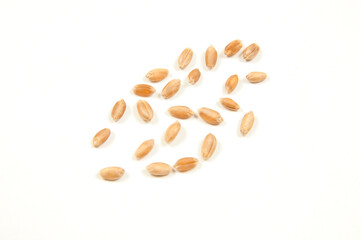 wheat grains are isolated on a white background
