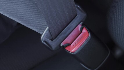 The process of clipping the seat belt in the car close up