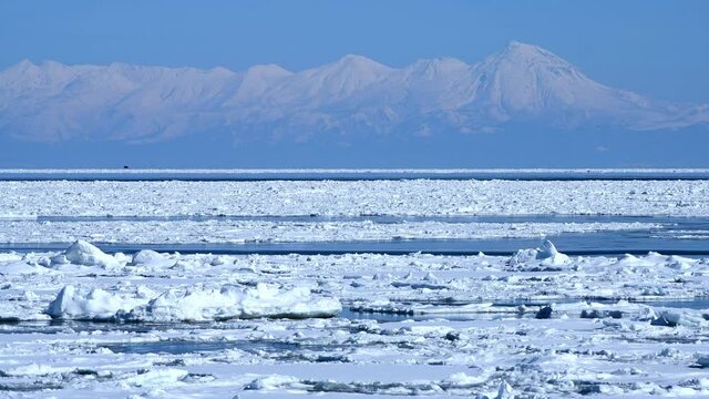 流氷で覆われたオホーツク海と知床連峰を遠望する