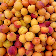 Bunch of fresh ripe apricots background
