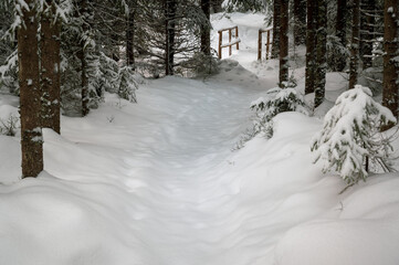 Winterlandschaft aus Österreich