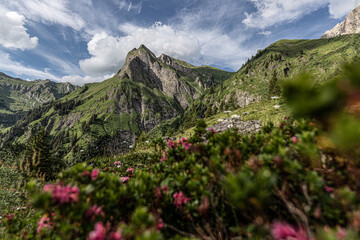 Fototapeta premium Himmelhorn im Sommer 