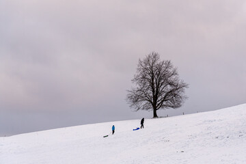 two kids walking up the snowy hill with their sledges
