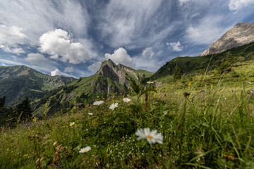 Fototapeta premium Himmelhorn 