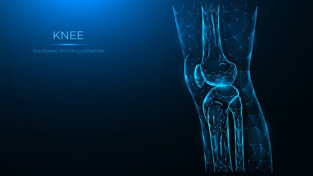 Polygonal vector illustration of the knee joint side view. Thigh and knee made of lines and dots isolated on a dark blue background.