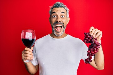 Middle age grey-haired man holding branch of fresh grapes and red wine celebrating crazy and amazed...