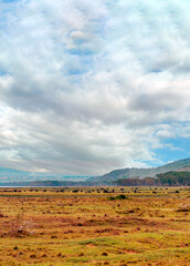 Kenyan landscape