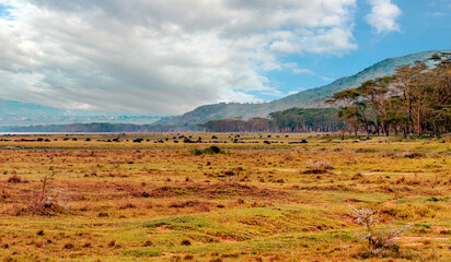 Fototapeta na wymiar Kenyan landscape