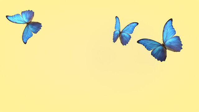 flight of summer blue butterflies. butterfly on a light background. 3d rendering