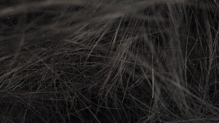 Black Hair pile close up for texture background.no people