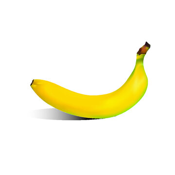 One Yellow robusta banana