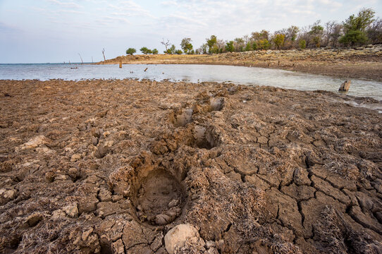 The impact of climate change on wildlife and people in Africa remains unknown, but images like this one of Lake Kariba in Zimbabwe tell a story of what may come to be.