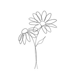 Chamomile flower line art drawing. Minimalist botanical icon, logo, design. Hand drawn Daisy flower vector illustration. One line drawing - 409600704