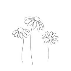 Chamomile flower line art drawing. Minimalist botanical icon, logo, design. Hand drawn Daisy flower vector illustration. One line drawing - 409600746