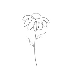 Chamomile flower line art drawing. Minimalist botanical icon, logo, design. Hand drawn Daisy flower vector illustration. One line drawing