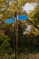 pointers arrows in the park