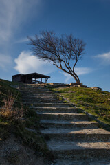 stair to a lone tree and an old house at the top of the mountain