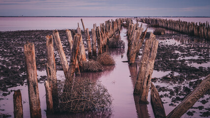 pink water lake with wooden pillars