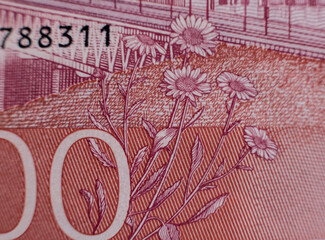 World money collection. Fragments of Swedish money