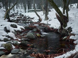 Small stream located in Santa Fe de montseny on a snowy day