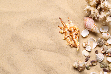 Fototapeta na wymiar Beautiful seashells, coral and starfishes on beach sand, flat lay with space for text. Summer vacation