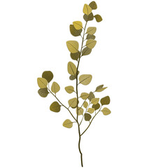 Blooming spring floral card. Spring bouquet. Vintage wedding invitation. Leaves in beautiful style on white background.