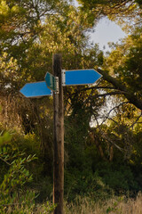 pointers arrows in the park