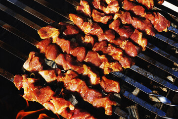 Meat on metal skewers during the preparation of barbecue. The concept of cooking in nature. View...