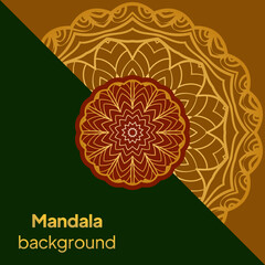 Ornamental mandala inspired ethnic art. Vector illustration.