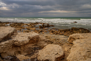 Каспийский берег в январе