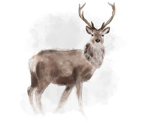 Deer in fog, watercolor