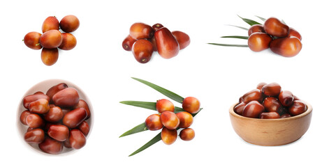 Set with fresh ripe palm oil fruits on white background. Banner design