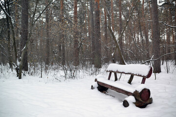snow-covered bench in the winter forest