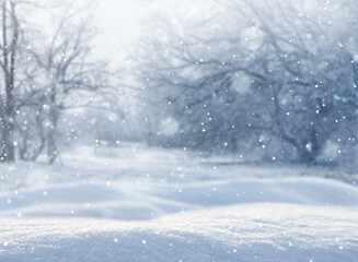 Fototapeta na wymiar Beautiful fluffy snow in forest. Winter season