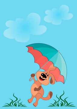 Funny dog walks with a colored umbrella in the rain.