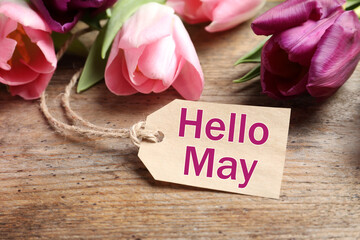 Beautiful spring tulips and label with text Hello May on wooden background