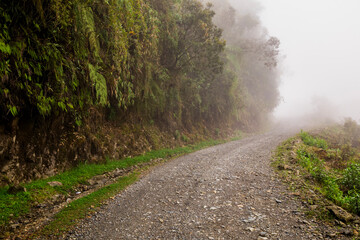 The Death Road - the most dangerous road in the world, North Yungas, Bolivia.