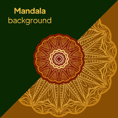 Vintage decorative elements. Vintage business card. Vector illustration