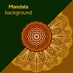 Template with floral background. Vector illustration design