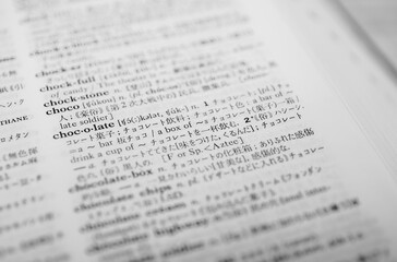 英和辞典"chocolate"モノトーン