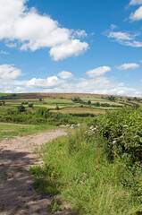 Naklejka premium Welsh hills in the summertime.