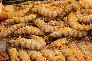 Langostinos frescos en el mercado.